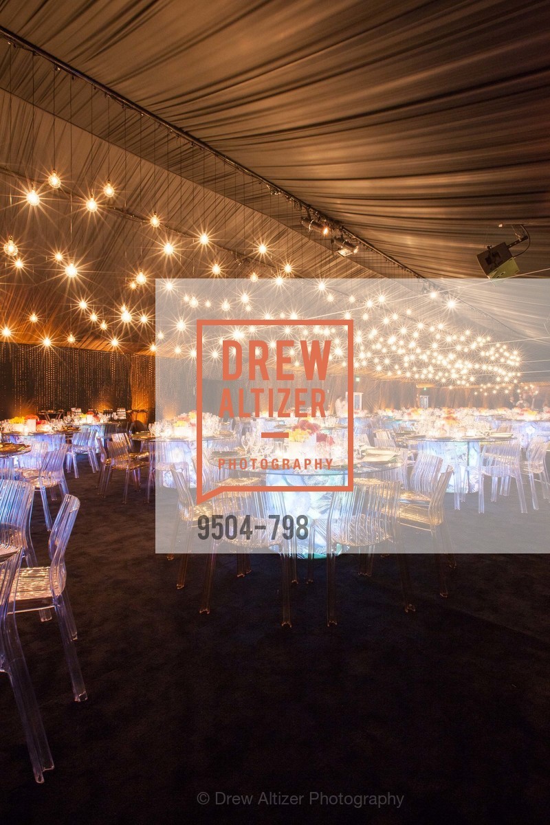 Atmosphere, CALIFORNIA ACADEMY OF SCIENCES - Big Bang Gala 2015, US, April 24th, 2015,Drew Altizer, Drew Altizer Photography, full-service agency, private events, San Francisco photographer, photographer california