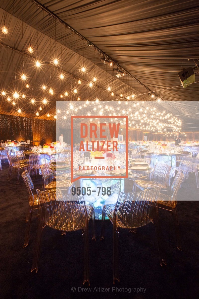 Atmosphere, CALIFORNIA ACADEMY OF SCIENCES - Big Bang Gala 2015, US, April 24th, 2015,Drew Altizer, Drew Altizer Photography, full-service event agency, private events, San Francisco photographer, photographer California