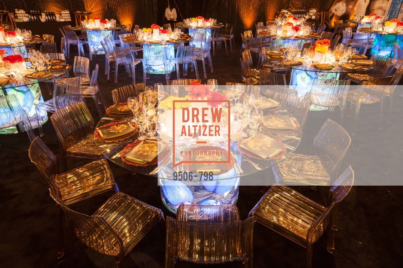Atmosphere, CALIFORNIA ACADEMY OF SCIENCES - Big Bang Gala 2015, US, April 24th, 2015,Drew Altizer, Drew Altizer Photography, full-service agency, private events, San Francisco photographer, photographer california