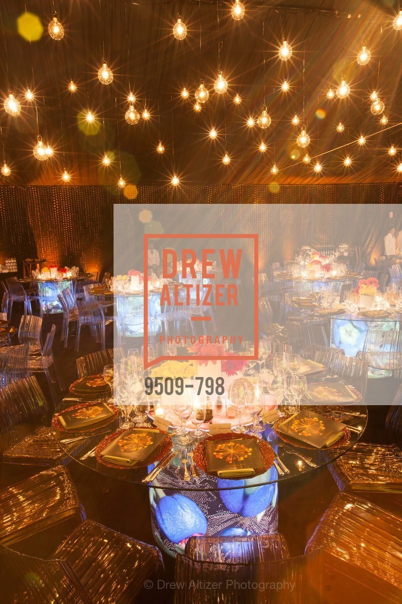 Atmosphere, CALIFORNIA ACADEMY OF SCIENCES - Big Bang Gala 2015, US, April 24th, 2015,Drew Altizer, Drew Altizer Photography, full-service event agency, private events, San Francisco photographer, photographer California