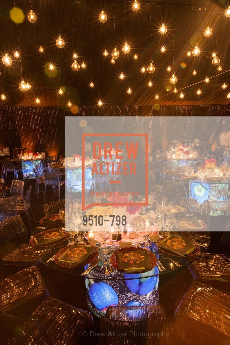 Atmosphere, CALIFORNIA ACADEMY OF SCIENCES - Big Bang Gala 2015, US, April 24th, 2015,Drew Altizer, Drew Altizer Photography, full-service agency, private events, San Francisco photographer, photographer california