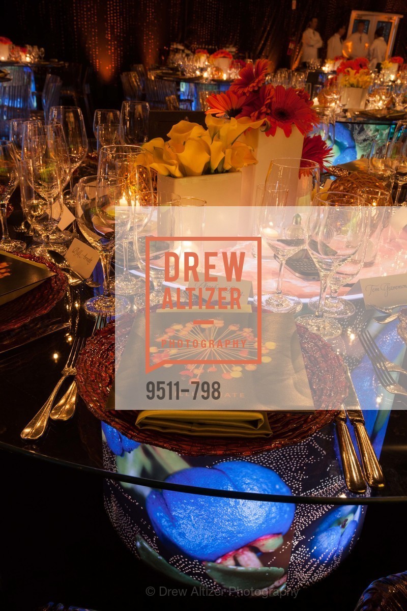 Atmosphere, CALIFORNIA ACADEMY OF SCIENCES - Big Bang Gala 2015, US, April 24th, 2015,Drew Altizer, Drew Altizer Photography, full-service agency, private events, San Francisco photographer, photographer california