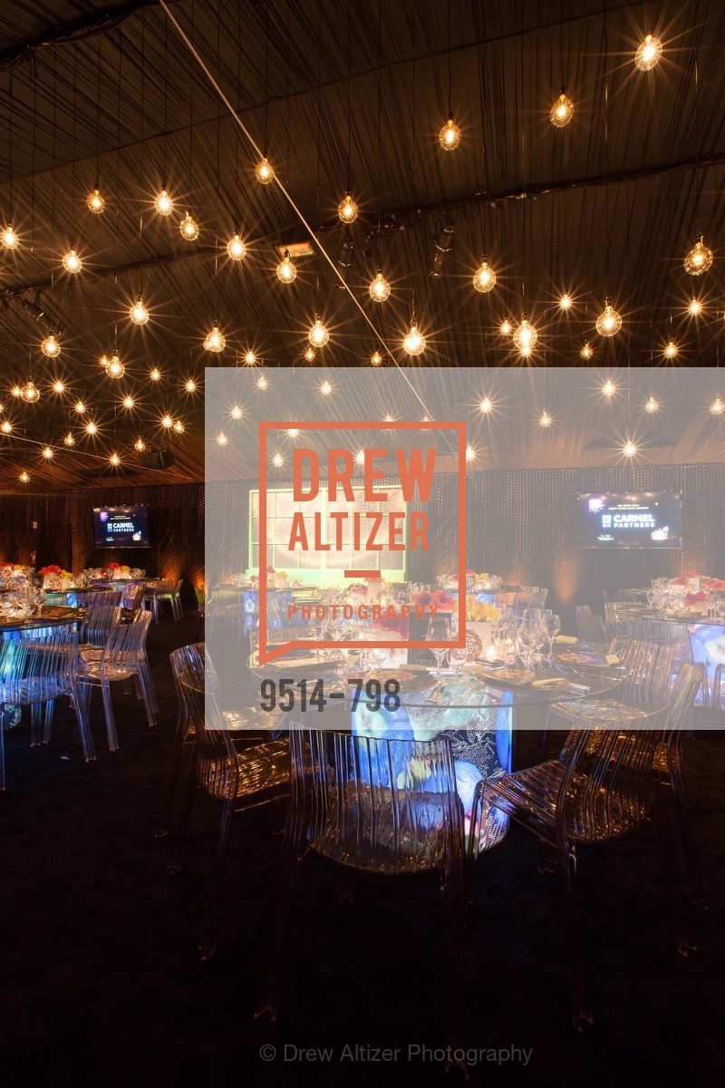 Atmosphere, CALIFORNIA ACADEMY OF SCIENCES - Big Bang Gala 2015, US, April 24th, 2015,Drew Altizer, Drew Altizer Photography, full-service event agency, private events, San Francisco photographer, photographer California