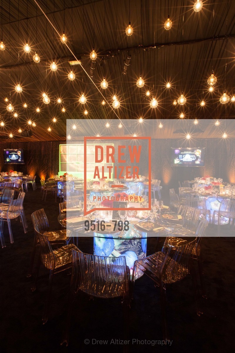 Atmosphere, CALIFORNIA ACADEMY OF SCIENCES - Big Bang Gala 2015, US, April 24th, 2015,Drew Altizer, Drew Altizer Photography, full-service agency, private events, San Francisco photographer, photographer california