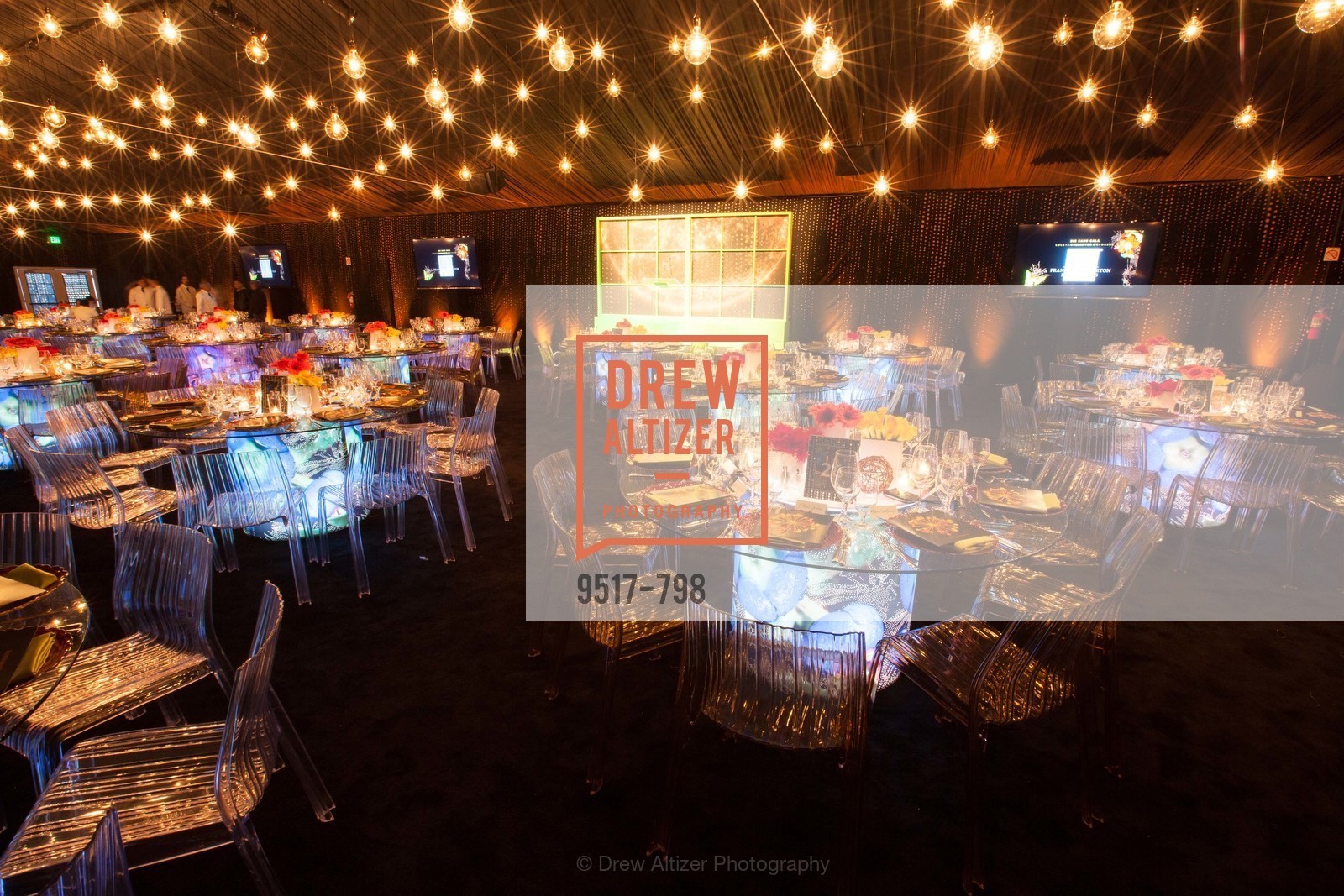 Atmosphere, CALIFORNIA ACADEMY OF SCIENCES - Big Bang Gala 2015, US, April 24th, 2015,Drew Altizer, Drew Altizer Photography, full-service agency, private events, San Francisco photographer, photographer california
