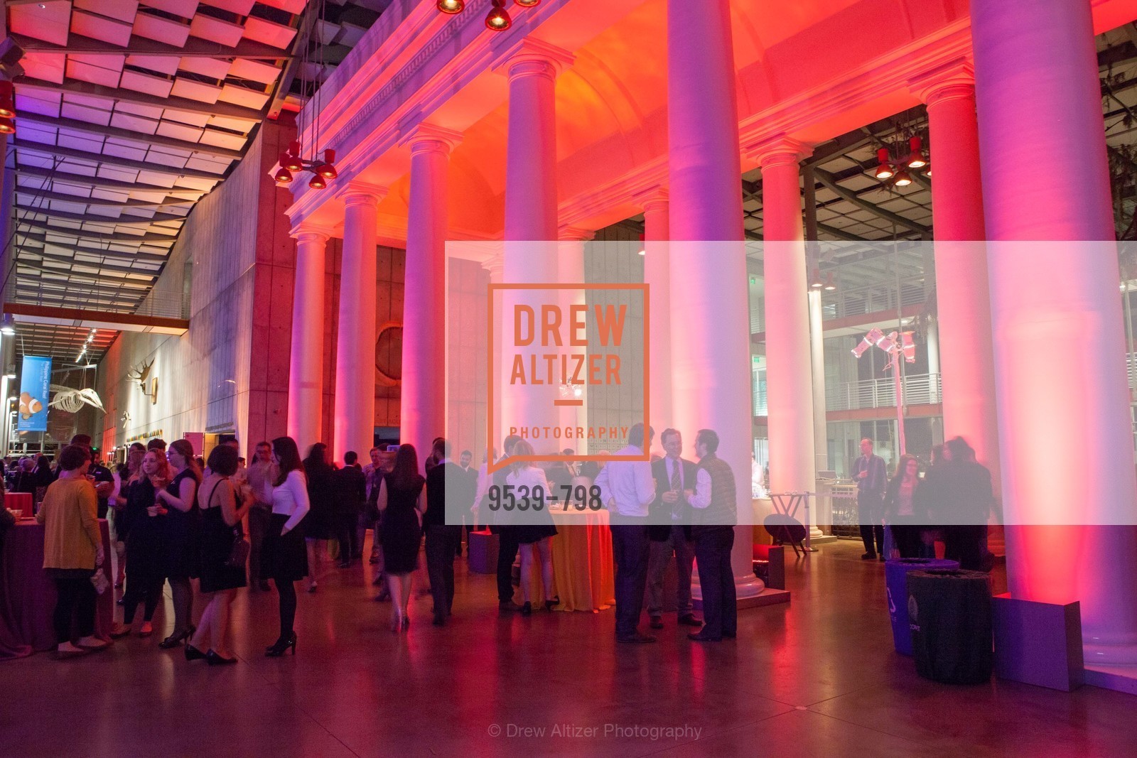 Atmosphere, CALIFORNIA ACADEMY OF SCIENCES - Big Bang Gala 2015, US, April 24th, 2015,Drew Altizer, Drew Altizer Photography, full-service agency, private events, San Francisco photographer, photographer california