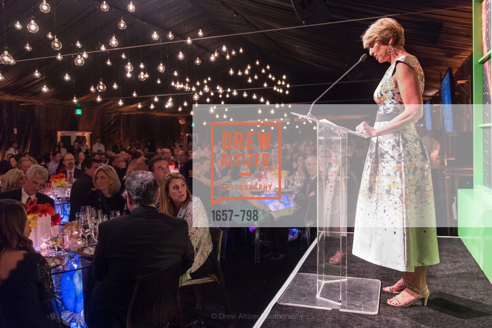Ruth Duhamel, CALIFORNIA ACADEMY OF SCIENCES - Big Bang Gala 2015, US, April 24th, 2015,Drew Altizer, Drew Altizer Photography, full-service event agency, private events, San Francisco photographer, photographer California