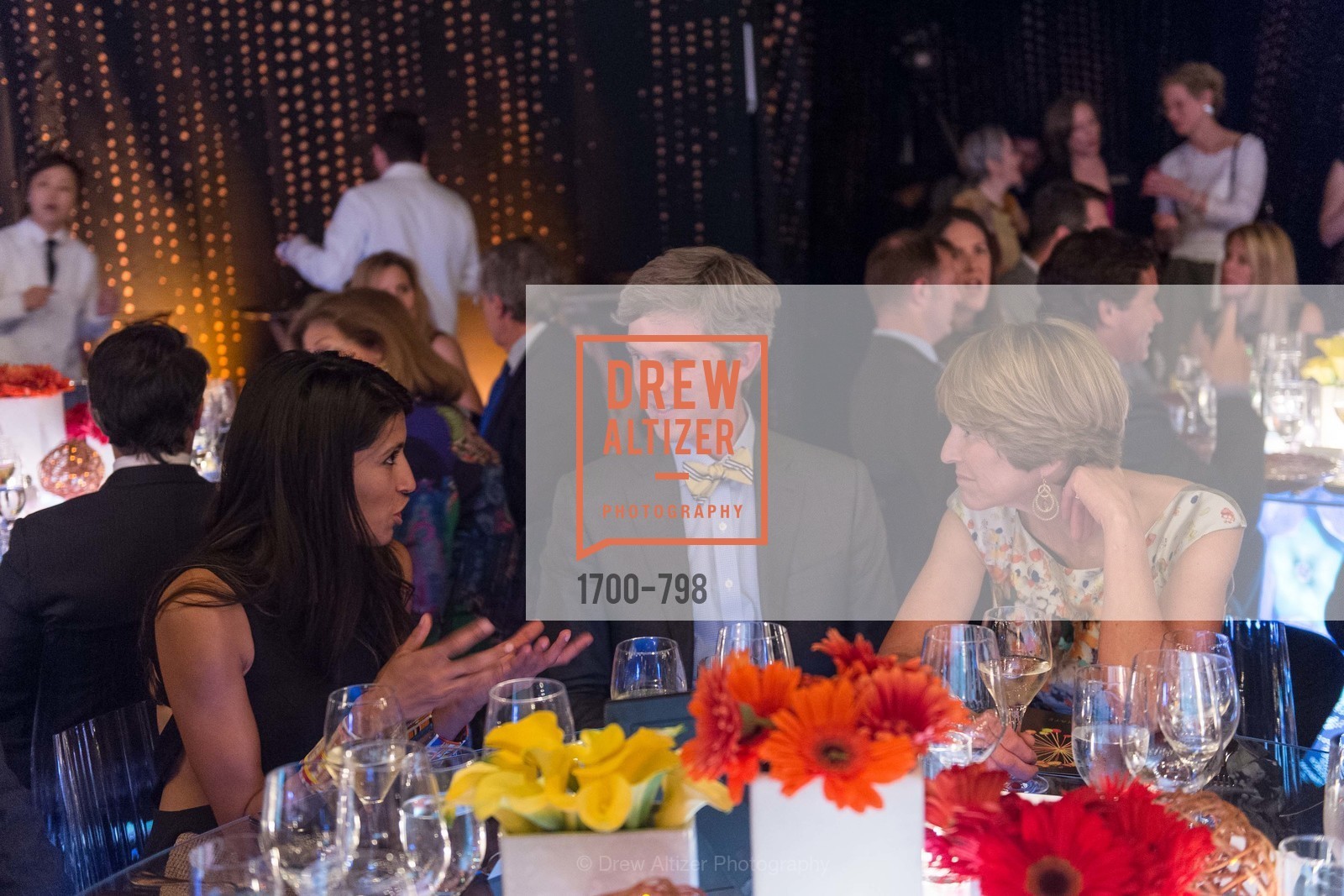 Atmosphere, CALIFORNIA ACADEMY OF SCIENCES - Big Bang Gala 2015, US, April 24th, 2015,Drew Altizer, Drew Altizer Photography, full-service agency, private events, San Francisco photographer, photographer california