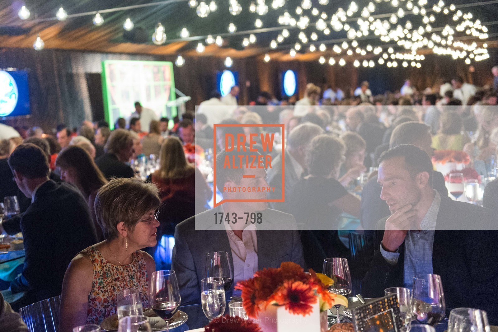 Atmosphere, CALIFORNIA ACADEMY OF SCIENCES - Big Bang Gala 2015, US, April 24th, 2015,Drew Altizer, Drew Altizer Photography, full-service event agency, private events, San Francisco photographer, photographer California