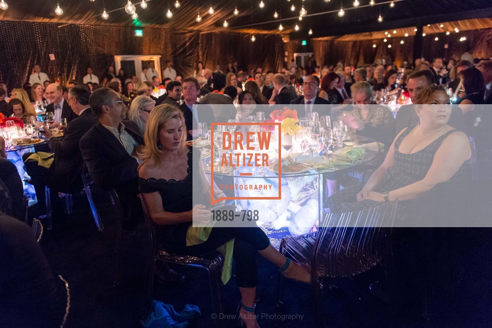 Atmosphere, CALIFORNIA ACADEMY OF SCIENCES - Big Bang Gala 2015, US, April 24th, 2015,Drew Altizer, Drew Altizer Photography, full-service agency, private events, San Francisco photographer, photographer california
