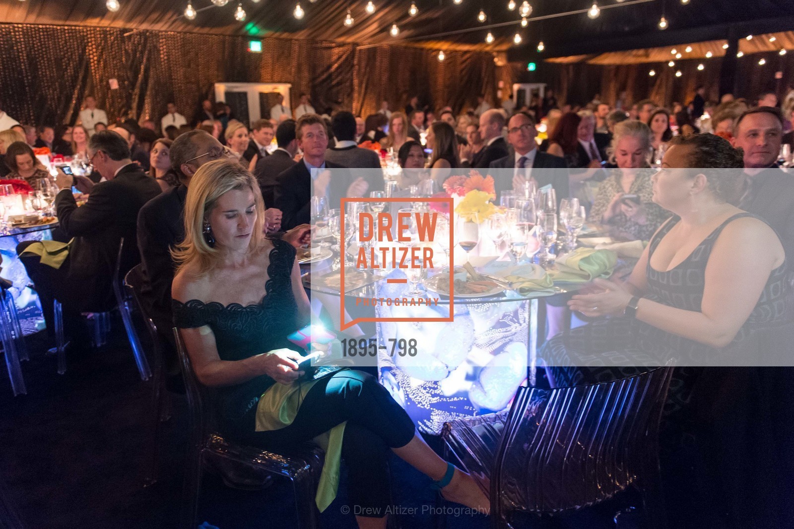 Atmosphere, CALIFORNIA ACADEMY OF SCIENCES - Big Bang Gala 2015, US, April 24th, 2015,Drew Altizer, Drew Altizer Photography, full-service agency, private events, San Francisco photographer, photographer california