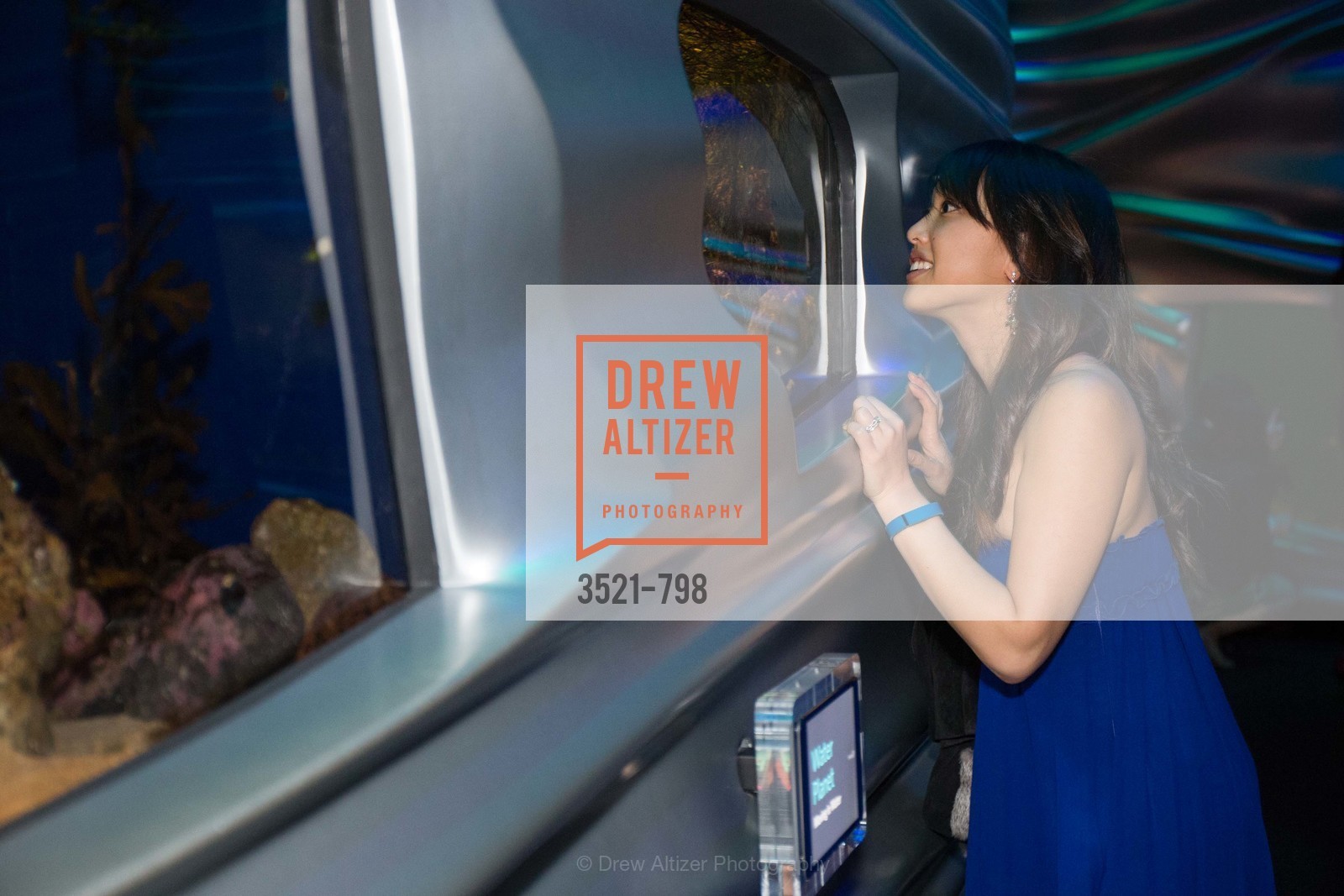 Atmosphere, CALIFORNIA ACADEMY OF SCIENCES - Big Bang Gala 2015, US, April 24th, 2015,Drew Altizer, Drew Altizer Photography, full-service agency, private events, San Francisco photographer, photographer california