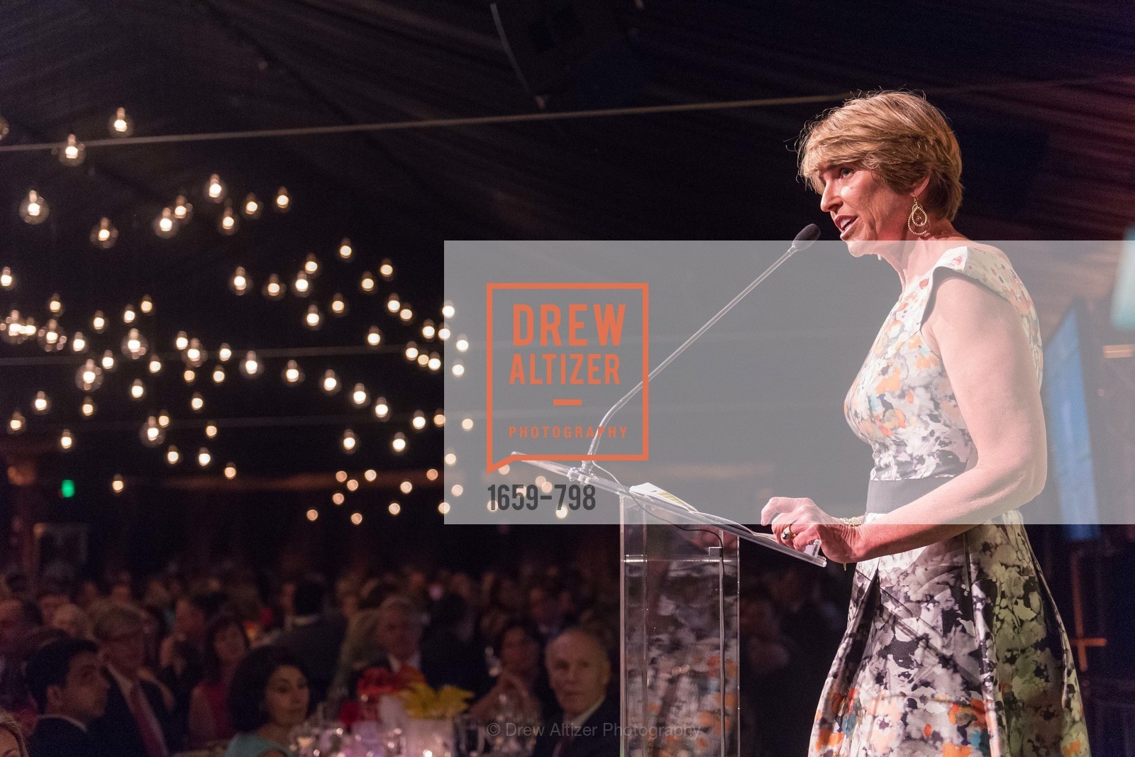 Ruth Duhamel, CALIFORNIA ACADEMY OF SCIENCES - Big Bang Gala 2015, US, April 24th, 2015,Drew Altizer, Drew Altizer Photography, full-service agency, private events, San Francisco photographer, photographer california