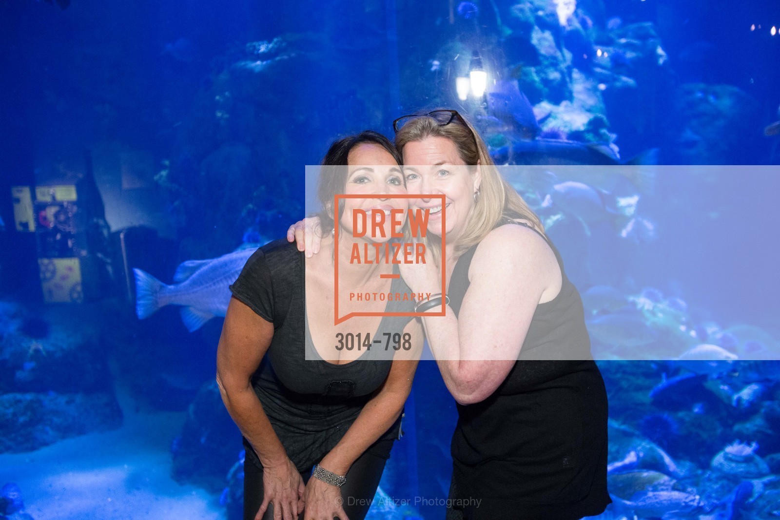 CALIFORNIA ACADEMY OF SCIENCES - Big Bang Gala 2015, US, April 24th, 2015, Photo #3014-798 Photo #3014-798