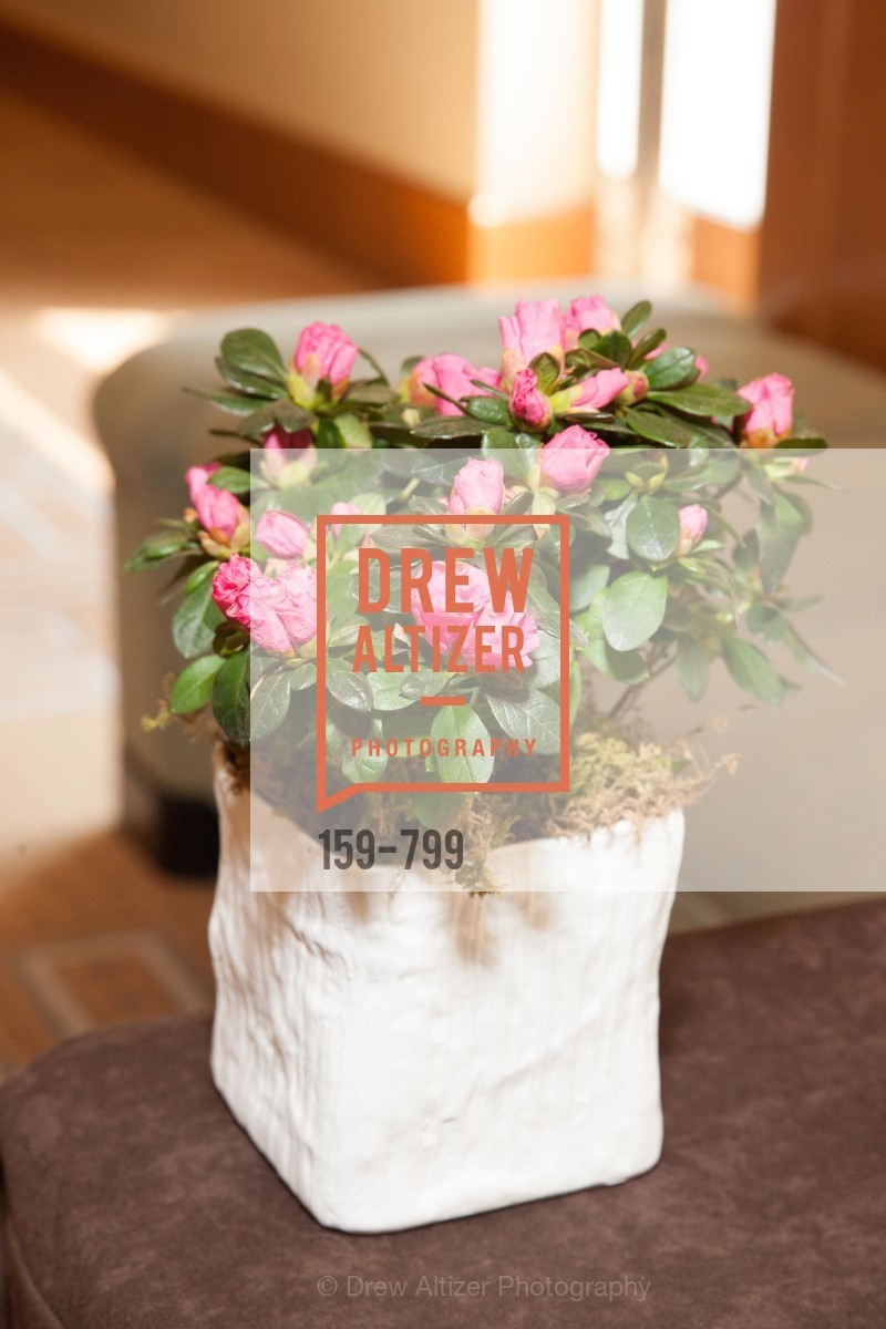 Atmosphere, COMPASSION & CHOICES - Empowerment Luncheon, US, April 24th, 2015,Drew Altizer, Drew Altizer Photography, full-service agency, private events, San Francisco photographer, photographer california