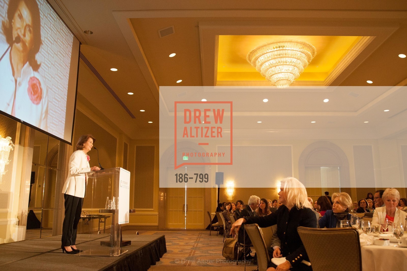JaMel Perkins, COMPASSION & CHOICES - Empowerment Luncheon, US, April 24th, 2015,Drew Altizer, Drew Altizer Photography, full-service agency, private events, San Francisco photographer, photographer california