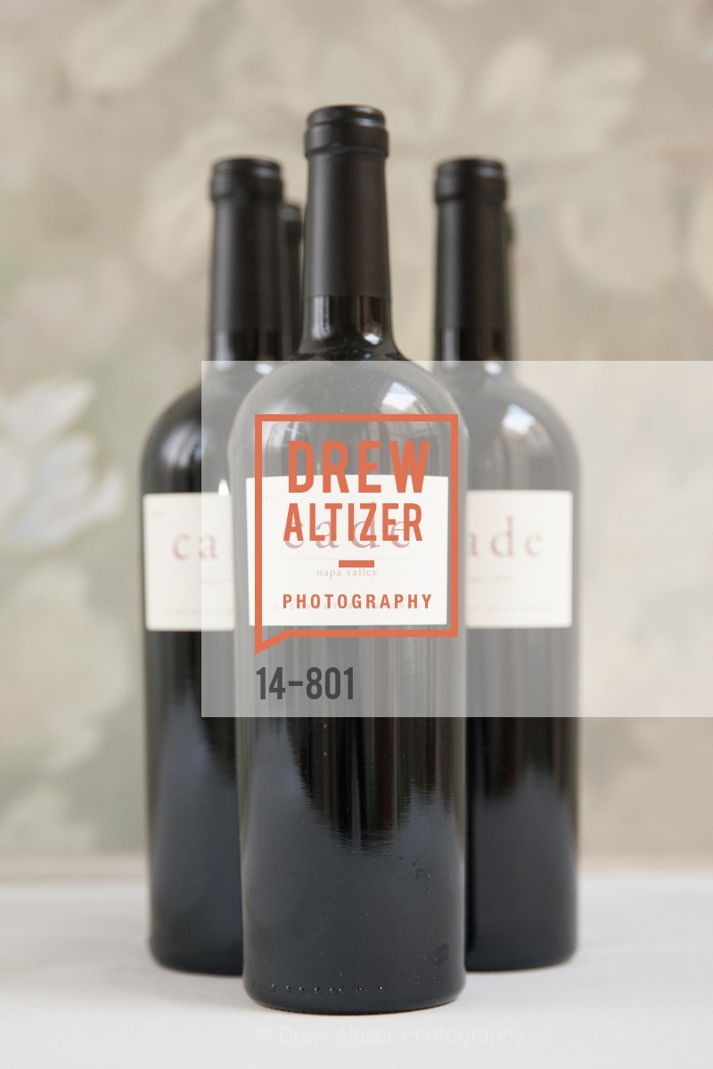 Atmosphere, GETTY Hosts Leakey Foundation Dinner, US, April 24th, 2015,Drew Altizer, Drew Altizer Photography, full-service agency, private events, San Francisco photographer, photographer california
