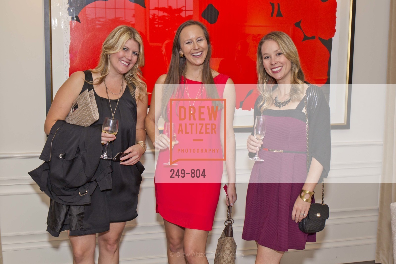 San Francisco Decorator Showcase Opening Night Party, US, April 25th, 2015, Photo #249-804 Photo #249-804