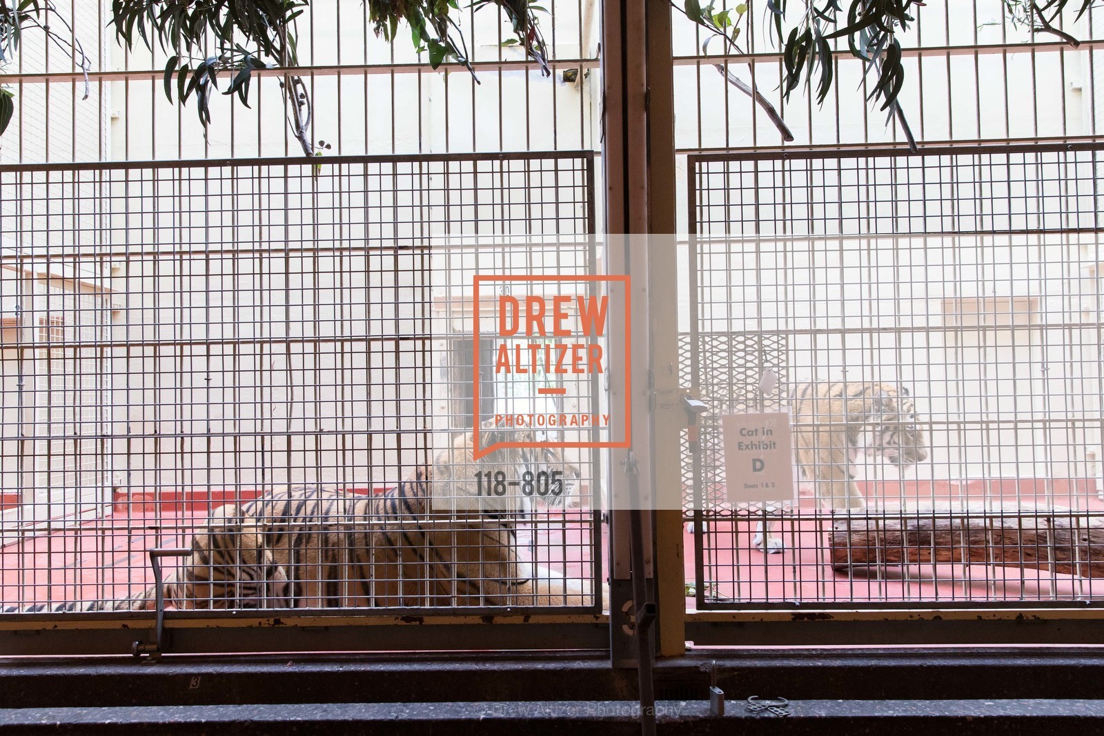 Atmosphere, ZOOFEST 2015, US, April 26th, 2015,Drew Altizer, Drew Altizer Photography, full-service agency, private events, San Francisco photographer, photographer california