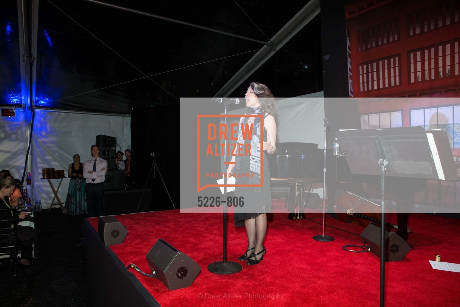 Performance By Melissa Smith, A.C.T. Gala Come Get Stranded, US, April 26th, 2015,Drew Altizer, Drew Altizer Photography, full-service agency, private events, San Francisco photographer, photographer california