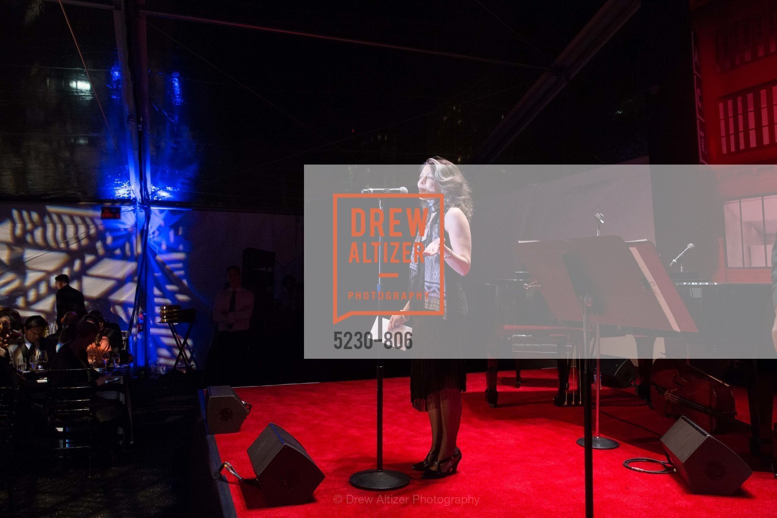 Performance By Melissa Smith, A.C.T. Gala Come Get Stranded, US, April 26th, 2015,Drew Altizer, Drew Altizer Photography, full-service event agency, private events, San Francisco photographer, photographer California