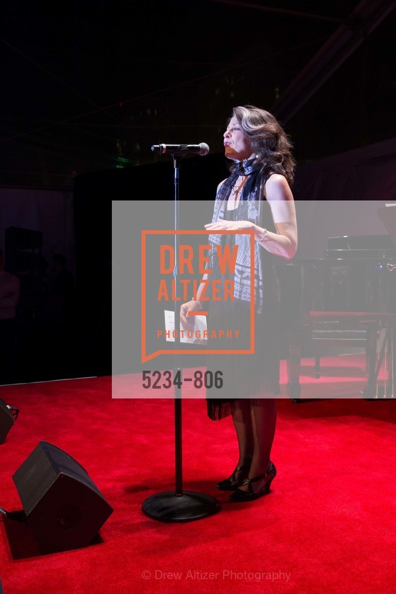 Performance By Melissa Smith, A.C.T. Gala Come Get Stranded, US, April 26th, 2015,Drew Altizer, Drew Altizer Photography, full-service agency, private events, San Francisco photographer, photographer california