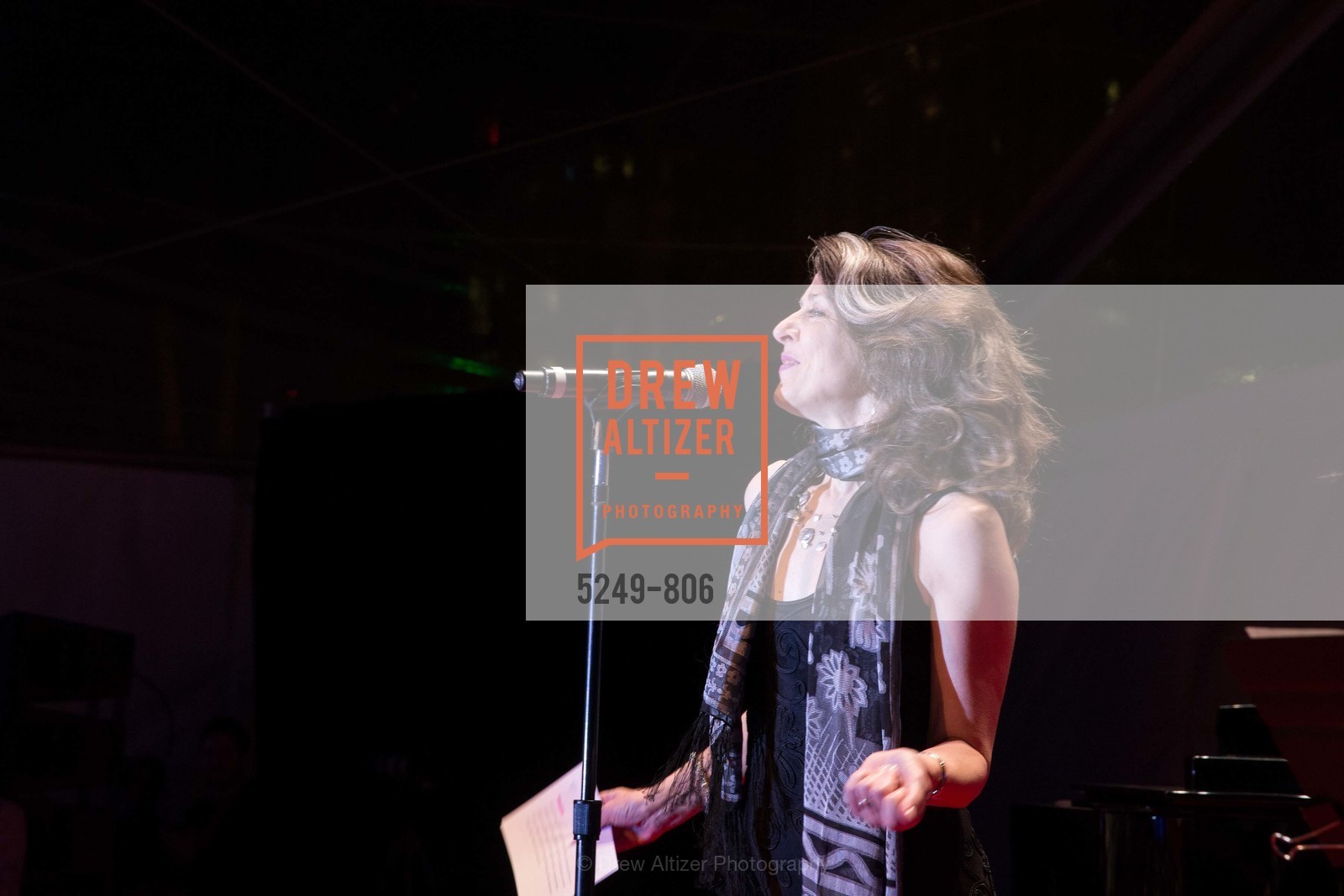 Performance By Melissa Smith, A.C.T. Gala Come Get Stranded, US, April 26th, 2015,Drew Altizer, Drew Altizer Photography, full-service agency, private events, San Francisco photographer, photographer california