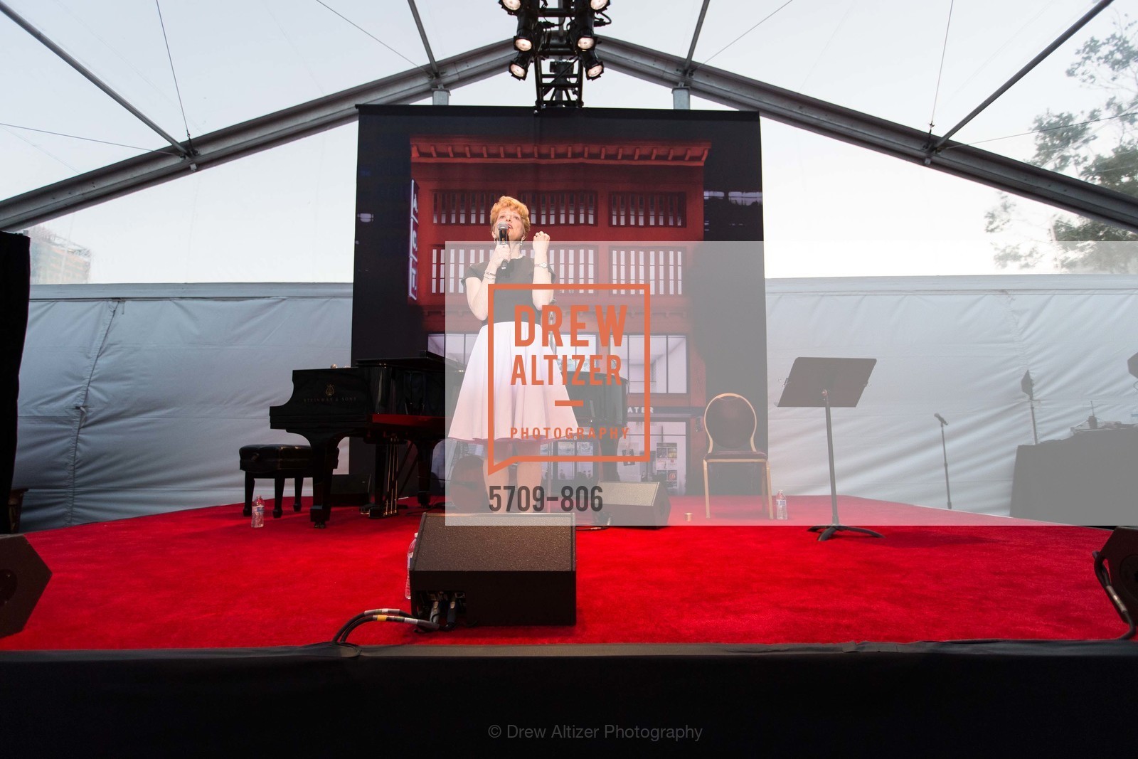 Carey Perloff, A.C.T. Gala Come Get Stranded, US, April 26th, 2015,Drew Altizer, Drew Altizer Photography, full-service agency, private events, San Francisco photographer, photographer california