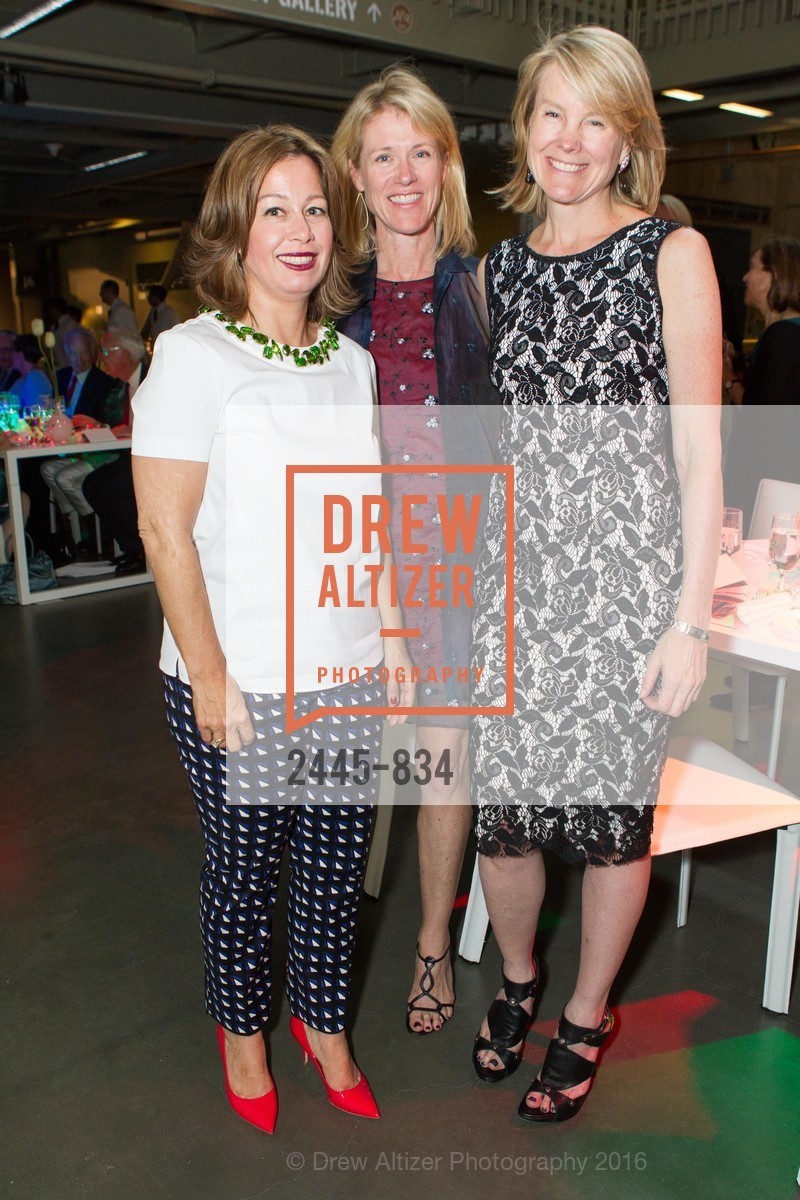 Adriane Iann, Exploratorium Spring Gala, Exploratorium, 140515, May 15th, 2014