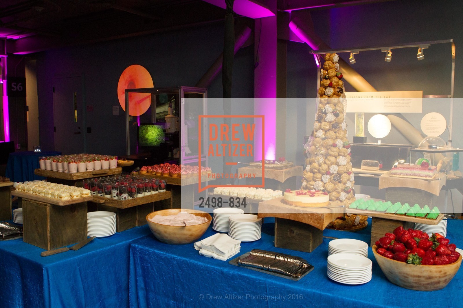 Atmosphere, Exploratorium Spring Gala, Exploratorium, 140515, May 15th, 2014,Drew Altizer, Drew Altizer Photography, full-service agency, private events, San Francisco photographer, photographer california