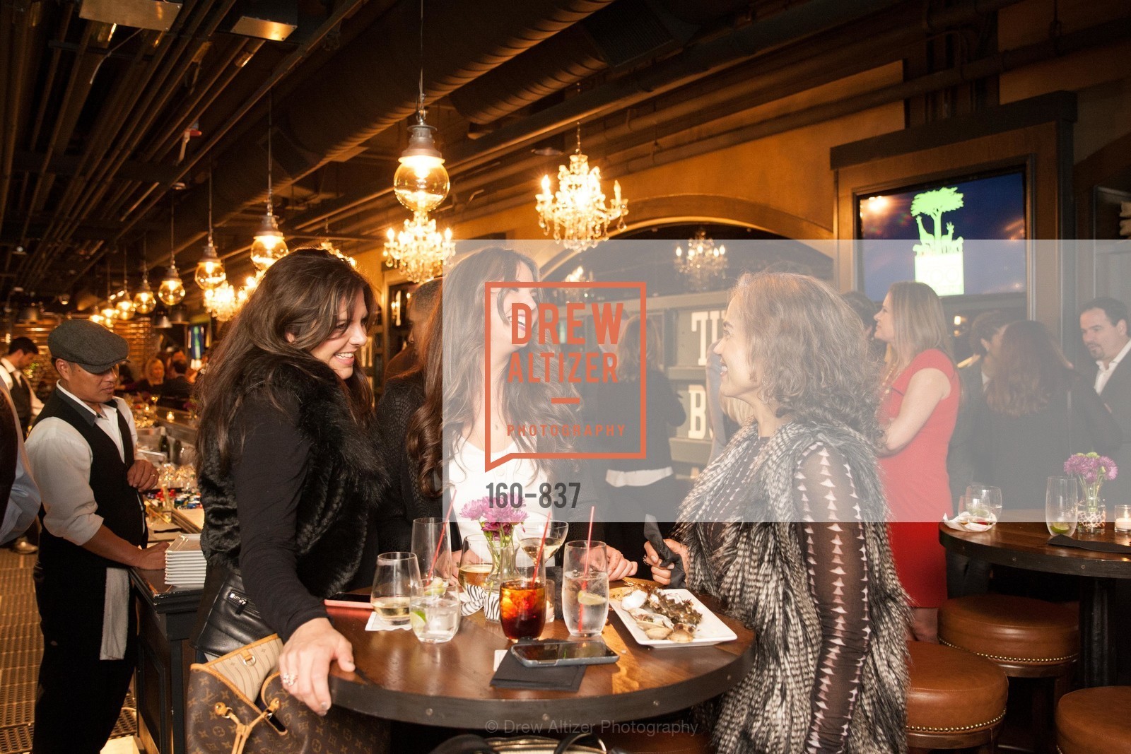 Shelly Daza, Lisette Lacayo, Anita Motwani, SF ZOO'S Benefactor Party, US, March 12th, 2015, Photo #160-837 Shelly Daza, Lisette Lacayo, Anita Motwani, Photo #160-837