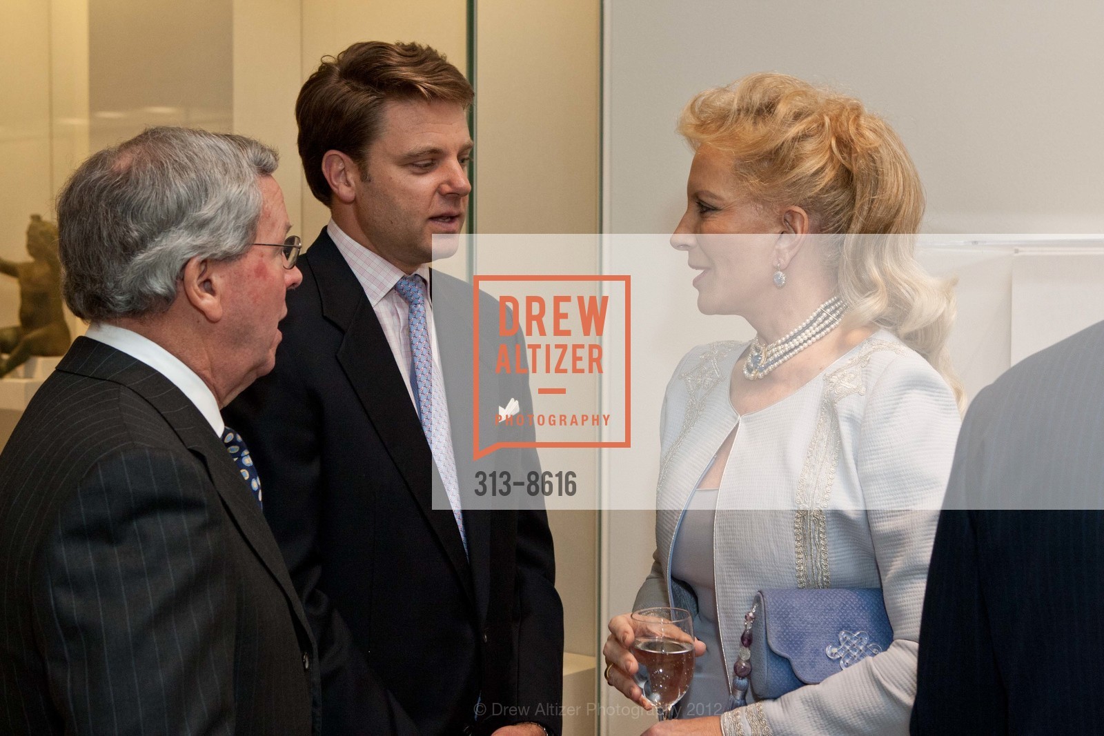 Michael Willmot, John Hockin, Princess Michael of Kent, CULT OF BEAUTY: The Victorian Avant-Garde Donor and Member Reception, US, February 17th, 2012, Photo #313-8616 Michael Willmot, John Hockin, Princess Michael of Kent, Photo #313-8616