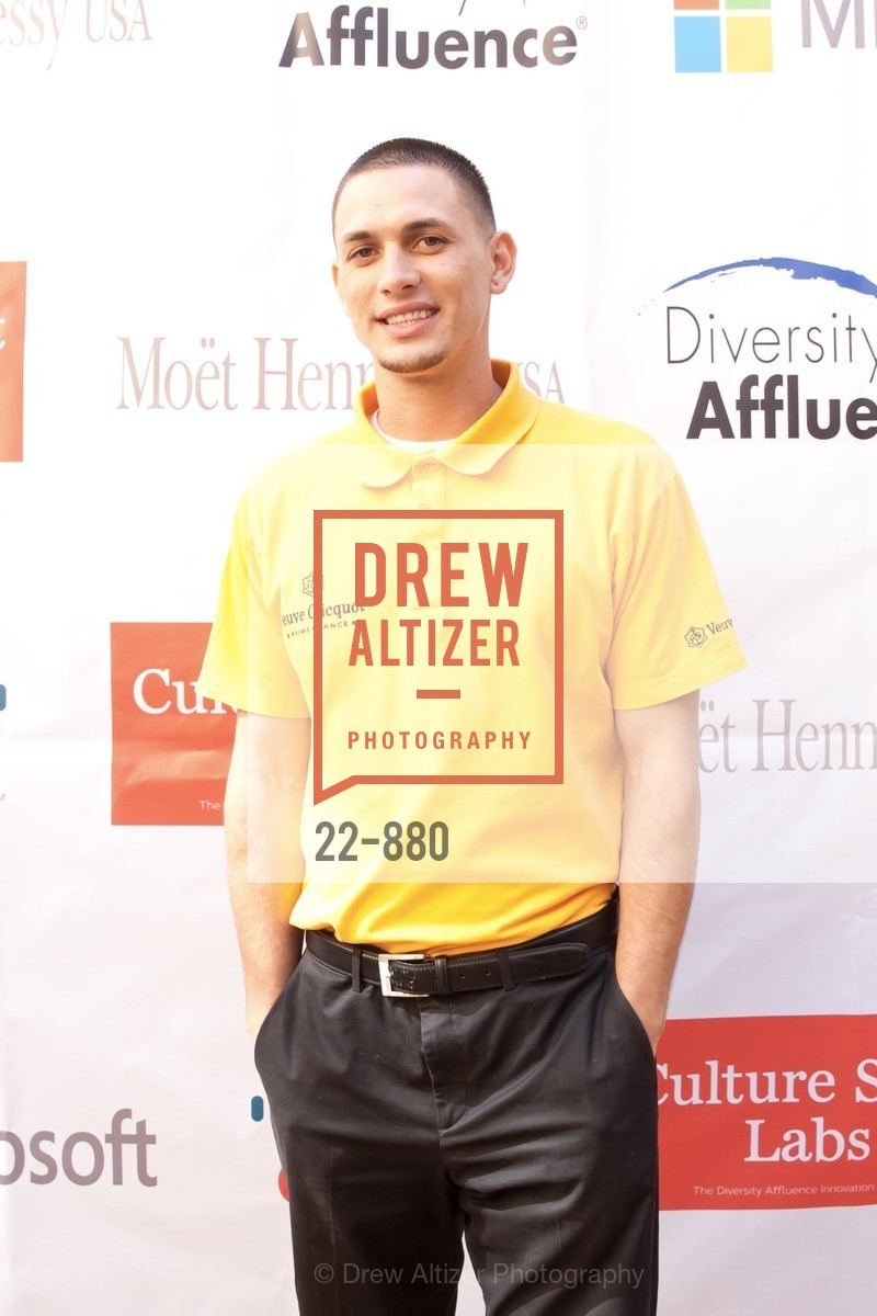 Shyron McDoughall, First Annual DIVERSITY AFFLUENCE Brunch: Silicon Valley, US, March 30th, 2015, Photo #22-880 Shyron McDoughall, Photo #22-880