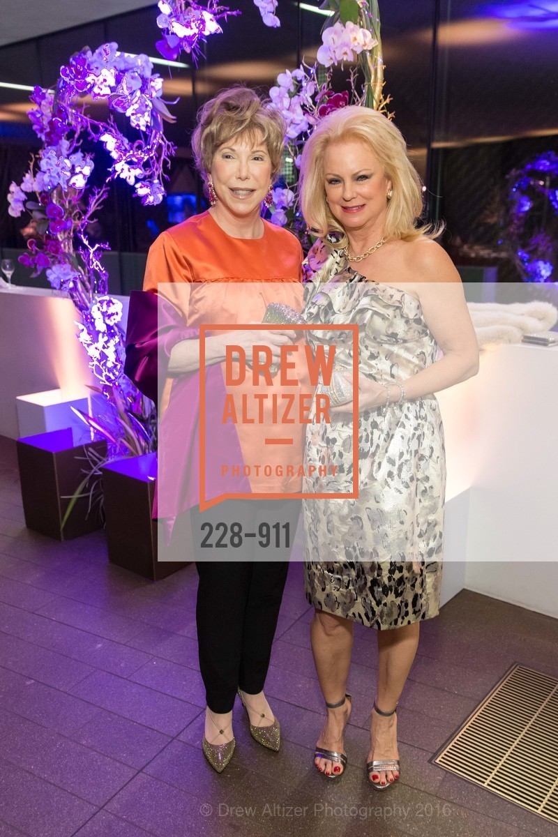 Sharon Owsley, Chandra Friese, Heart to Heart, de Young Museum. 50 Hagiwara Tea Garden Dr, San Francisco, CA 94118, February 13th, 2016, Photo #228-911 Sharon Owsley, Chandra Friese, Photo #228-911