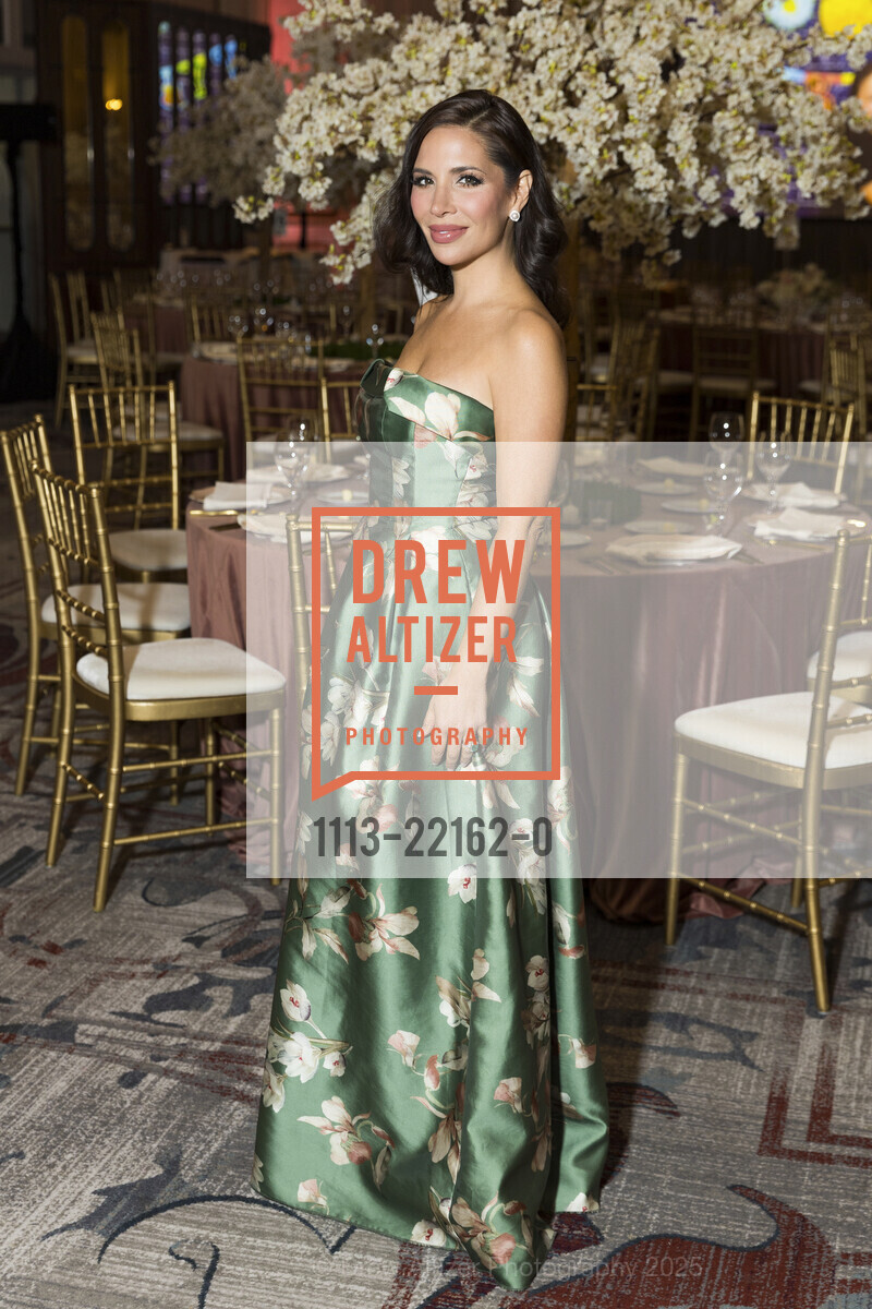 Cheryl Sanclemente Zierten, Raphael House's 2025 Gala, The Palace. 2 New Montgomery St, May 10th, 2025, Photo #1113-22162-0 Cheryl Sanclemente Zierten, Photo #1113-22162-0