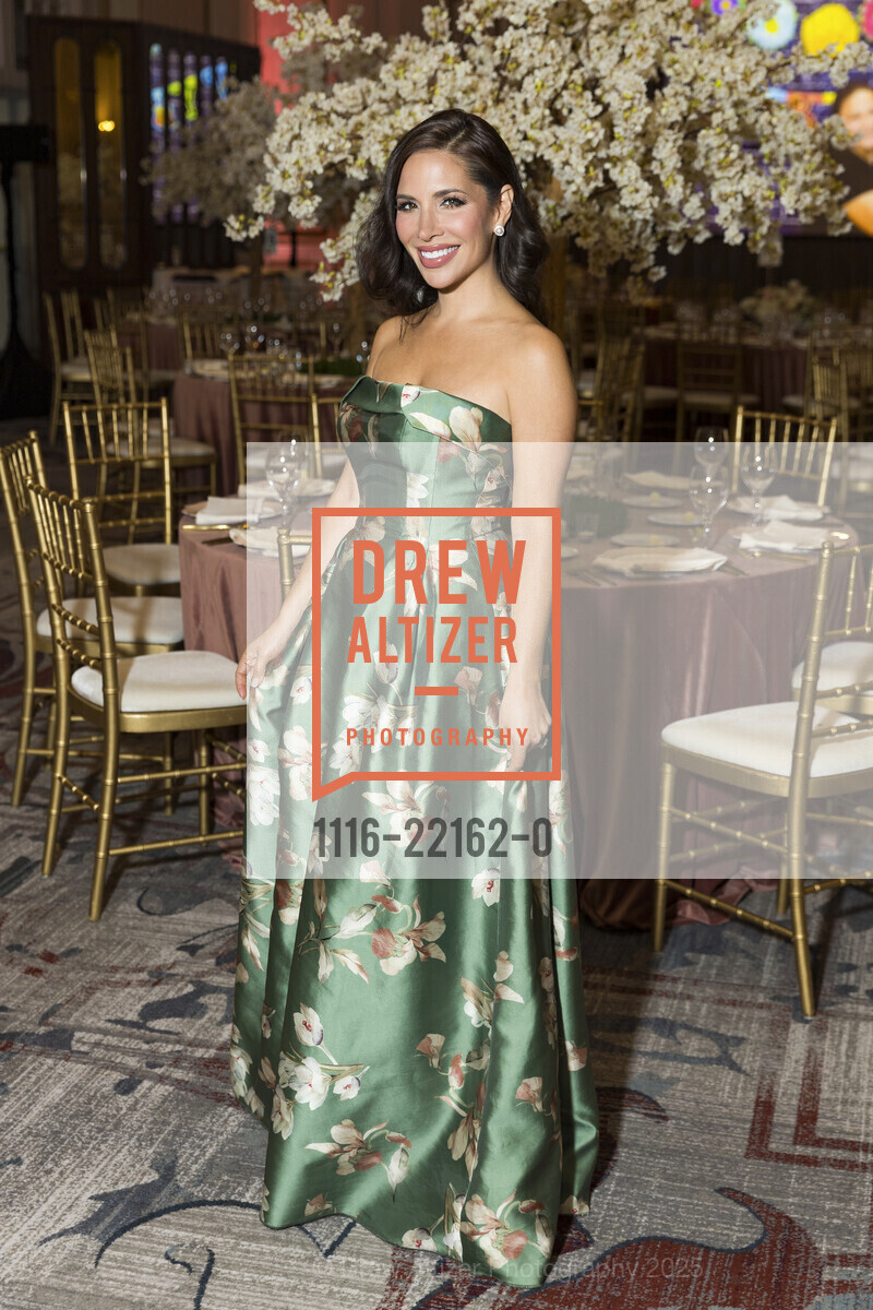 Cheryl Sanclemente Zierten, Raphael House's 2025 Gala, The Palace. 2 New Montgomery St, May 10th, 2025, Photo #1116-22162-0 Cheryl Sanclemente Zierten, Photo #1116-22162-0